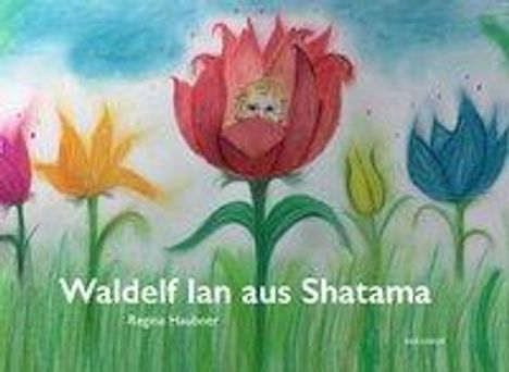 Regina Haubner: Haubner, R: Waldelf Ian aus Shatama, Buch