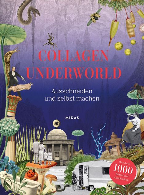 Cover/Produkt Ansicht vergrößern