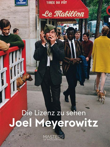 Joel Meyerowitz: Lizenz zu sehen: Joel Meyerowitz, Buch