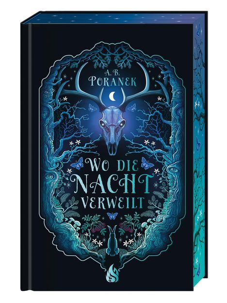 A. B. Poranek: Wo die Nacht verweilt, Buch