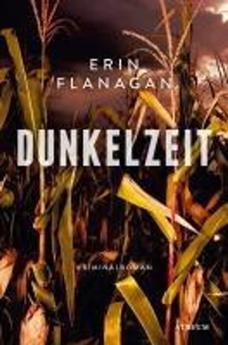 Dunkelzeit, Buch