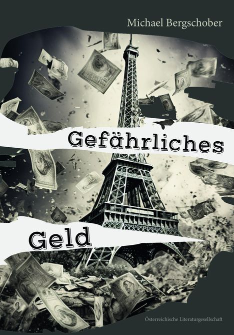 Michael Bergschober: Gefährliches Geld, Buch