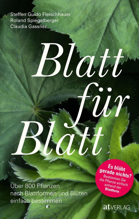 Steffen Guido Fleischhauer: Blatt für Blatt, Buch