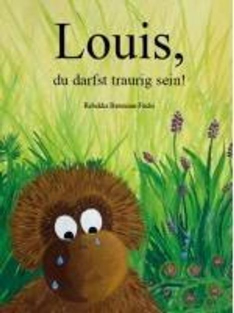 Rebekka Baumann-Fuchs: Louis, du darfst traurig sein!, Buch