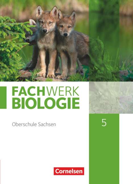 Ulrike Dives: Fachwerk Biologie - Sachsen. 5. Schuljahr - neuer Lehrplan - Schülerbuch - Neubearbeitung, Buch