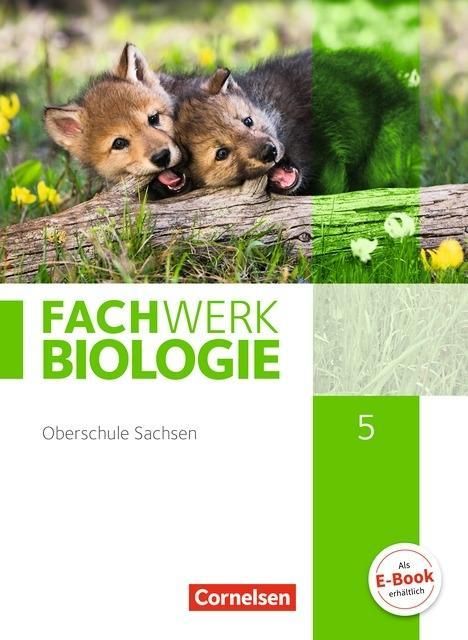 Ulrike Dives: Fachwerk Biologie 5. Schuljahr - Sachsen - Schülerbuch, Buch