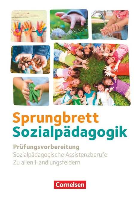 Sprungbrett Sozialpädagogik. Zu allen Handlungsfeldern - Prüfungstrainerin, Buch