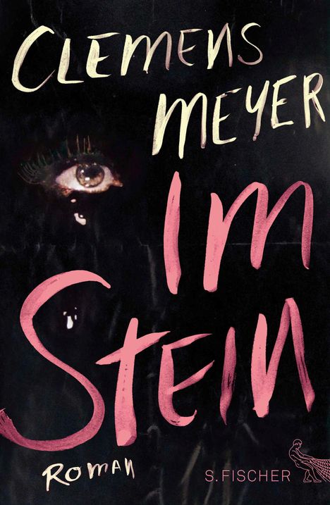 Clemens Meyer: Im Stein, Buch