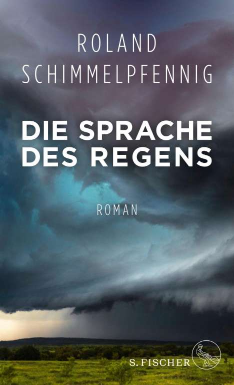 Roland Schimmelpfennig: Die Sprache des Regens, Buch