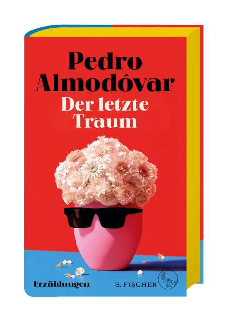 Pedro Almodóvar: Der letzte Traum, Buch