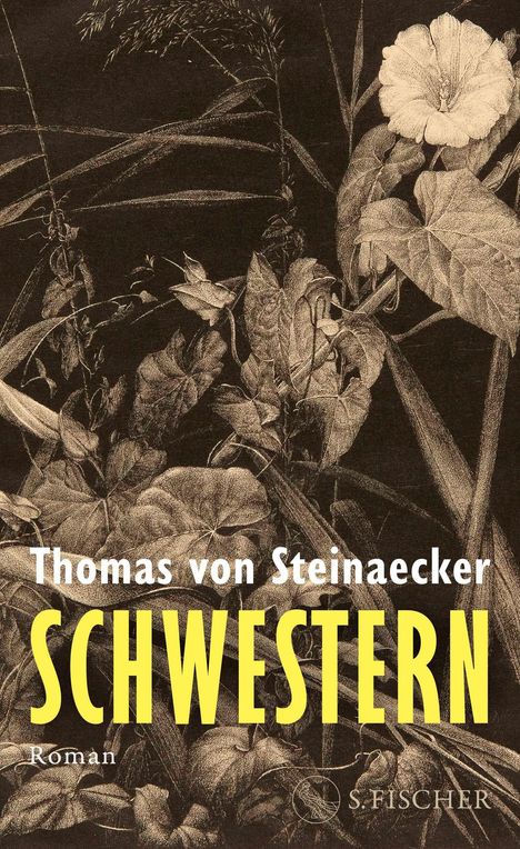 Oben steht „Thomas von Steinaecker“, darunter in Gelb „SCHWESTERN“. Darunter „Roman“. Ein botanisches Illustration.
