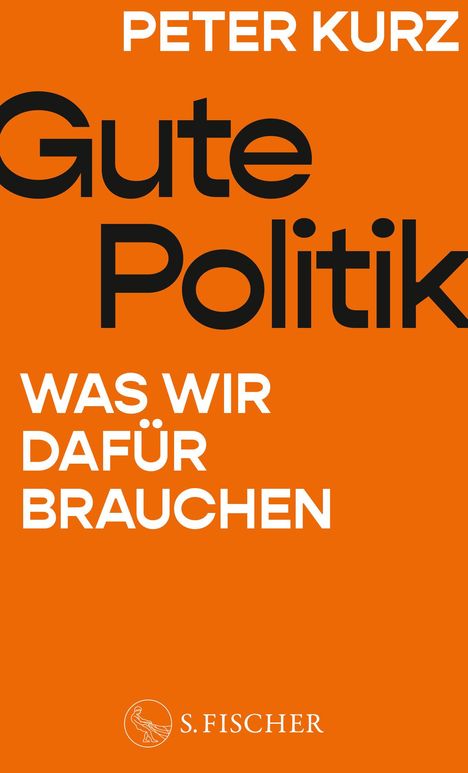 Peter Kurz: Gute Politik, Buch