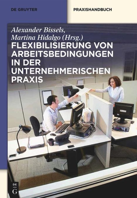 Flexibilisierung von Arbeitsbedingungen in der unternehmerischen Praxis, Buch