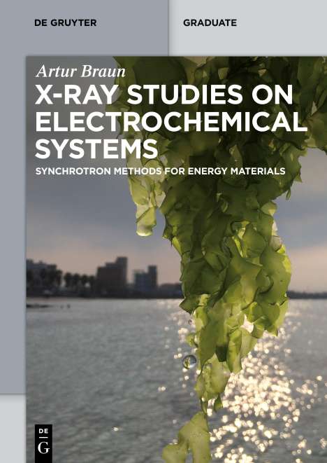 Artur Braun: X-ray Studies on Electrochemical Systems, Buch