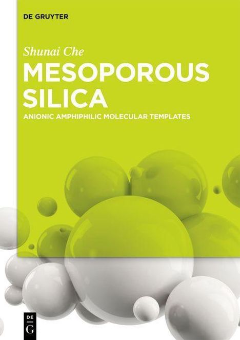 Shunai Che: Mesoporous Silica, Buch