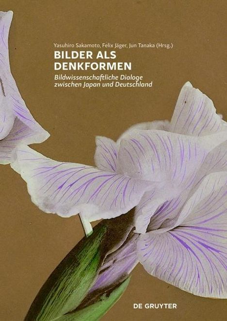 Bilder als Denkformen, Buch