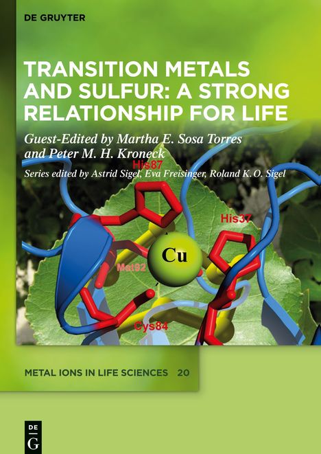 Transition Metals and Sulfur ¿ A Strong Relationship for Life, Buch