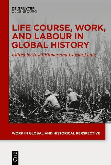 Life Course, Work, and Labour in Global History, Buch