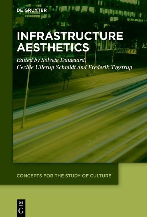 Infrastructure Aesthetics, Buch