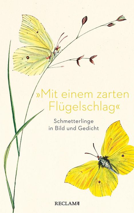 »Mit einem zarten Flügelschlag«, Buch