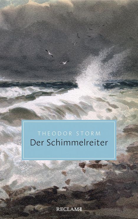 Theodor Storm: Der Schimmelreiter, Buch