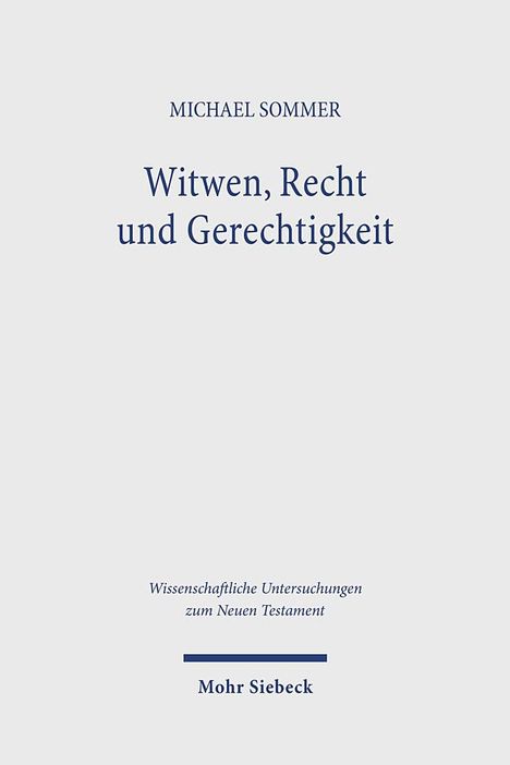 Michael Sommer: Witwen, Recht und Gerechtigkeit, Buch