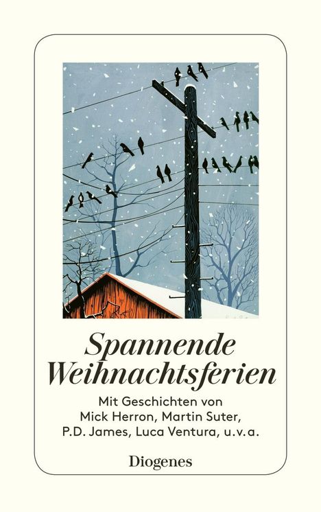 Spannende Weihnachtsferien, Buch