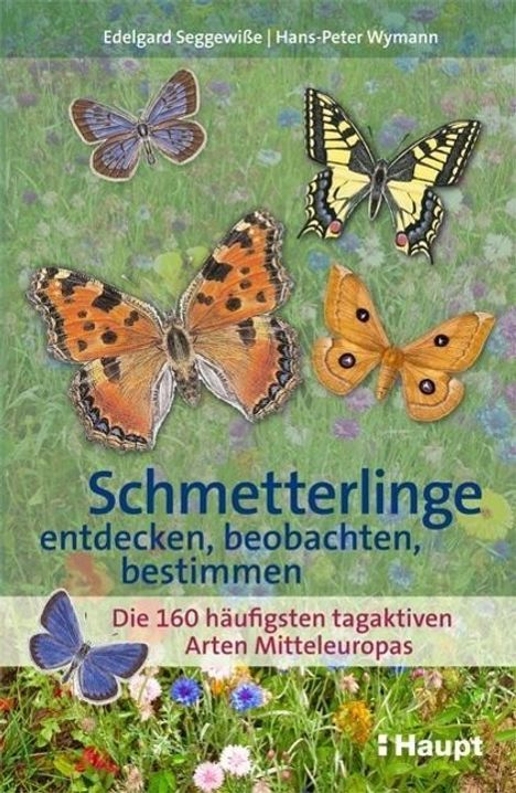 Edelgard Seggewiße: Schmetterlinge entdecken, beobachten, bestimmen, Buch