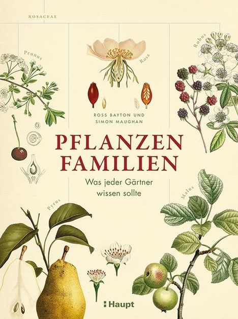 Ross Bayton: Bayton, R: Pflanzenfamilien, Buch