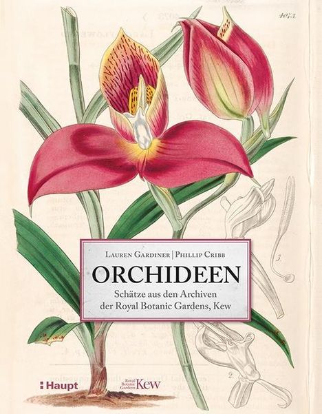 Lauren Gardiner: Gardiner, L: Orchideen, Buch