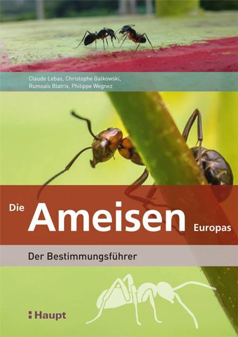 Claude Lebas: Die Ameisen Europas, Buch