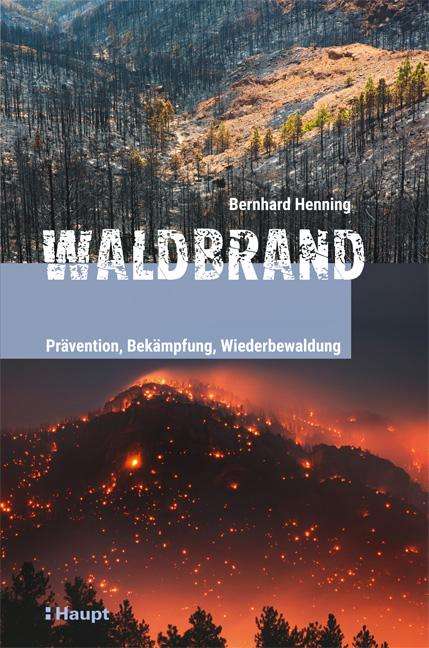 Bernhard Henning: Waldbrand, Buch