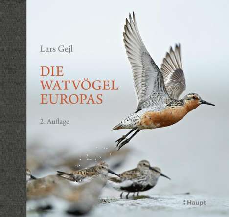 Lars Gejl: Gejl, L: Watvögel Europas, Buch