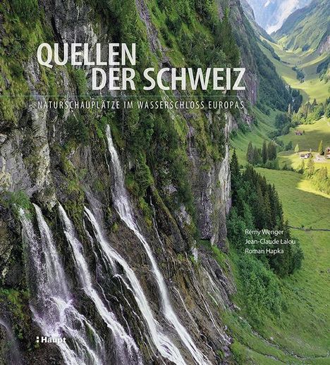 Rémy Wenger: Quellen der Schweiz, Buch