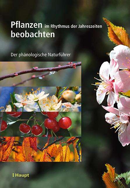 Vincent Badeau: Pflanzen im Rhythmus der Jahreszeiten beobachten, Buch