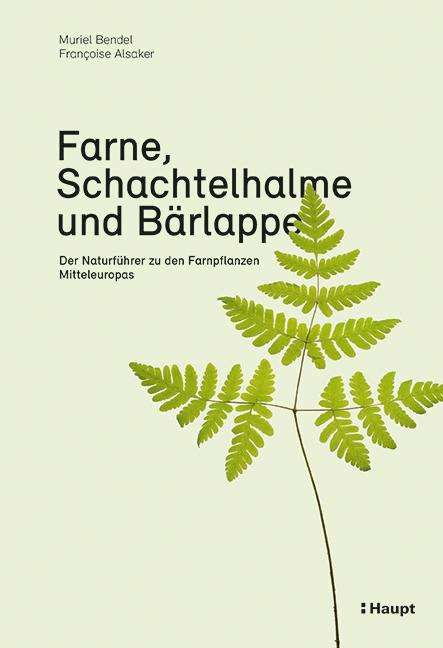 Muriel Bendel: Farne, Schachtelhalme und Bärlappe, Buch