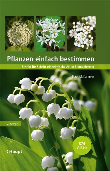 Peter M. Kammer: Pflanzen einfach bestimmen, Buch