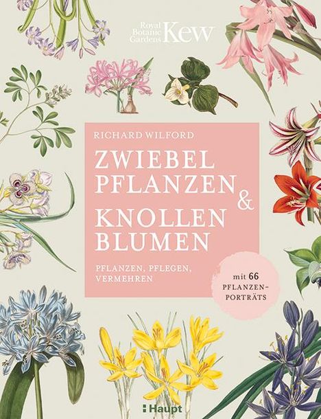 Richard Wilford: Zwiebelpflanzen & Knollenblumen, Buch