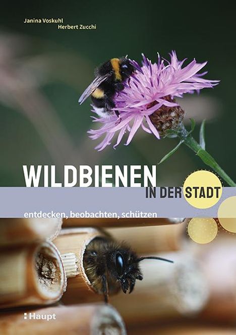 Janina Voskuhl: Wildbienen in der Stadt, Buch