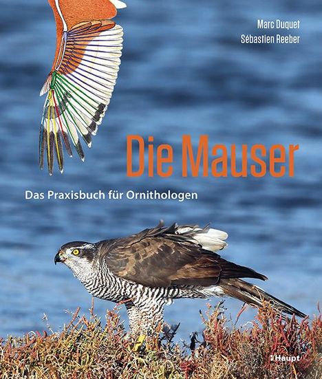 Marc Duquet: Die Mauser, Buch