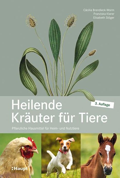 Cäcilia Brendieck-Worm: Heilende Kräuter für Tiere, Buch