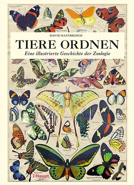 David Bainbridge: Tiere ordnen, Buch