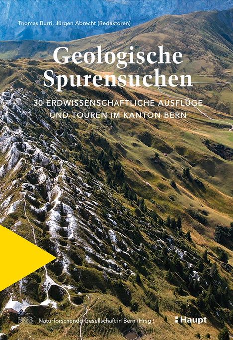 Geologische Spurensuchen, Buch