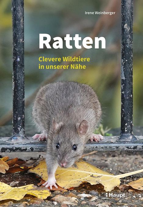 Irene Weinberger: Ratten, Buch
