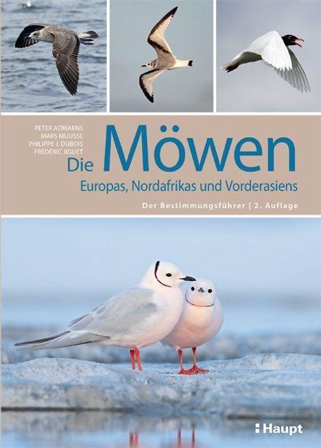 Peter Adriaens: Die Möwen Europas, Nordafrikas und Vorderasiens, Buch