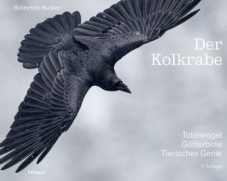 Heinrich Haller: Der Kolkrabe - Totenvogel, Götterbote, tierisches Genie, Buch