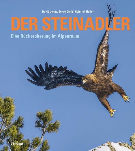 David Jenny: Der Steinadler, Buch