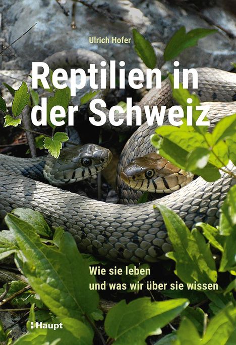 Ulrich Hofer: Reptilien in der Schweiz, Buch