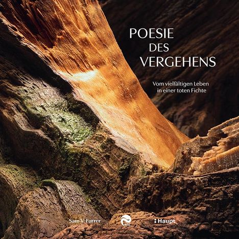 Sam V. Furrer: Poesie des Vergehens, Buch