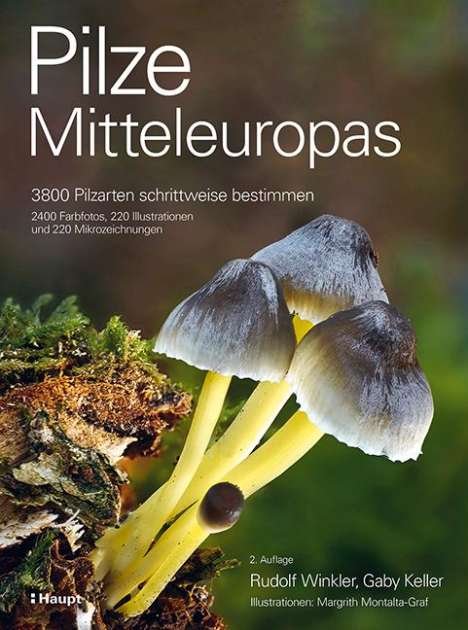 Rudolf Winkler: Pilze Mitteleuropas, Buch